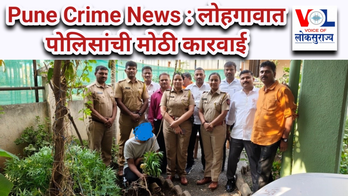Pune Crime News 2026 – लोहगावात पोलिसांची मोठी कारवाई, गांजा लागवड प्रकरण उघड